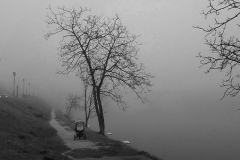 Who said Maribor doesn't get any fog? Jan.8th