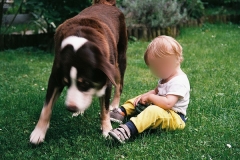 sharing his chew toy, July 8th