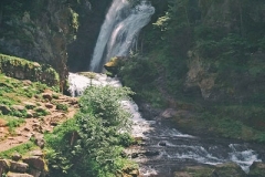 someone (re)discovered her love for freezing cold water. Val di Fiemme, July 25th ©Jonna