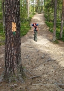 Pieni Karhunkierros trail (12km overnight loop), Oulanka NP, Finland