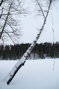 something tells me this swing won\'t be used for a while, Sorvanen lake near Lahti