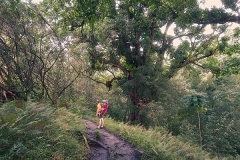 6.5km & 200 v.m. on muddy Pipiwai trail, Kipahulu, ©Jonna