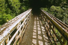 Pipiwai trail bamboo forest entrance, Kipahulu