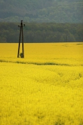 somewhere in western Hungary, Apr.12